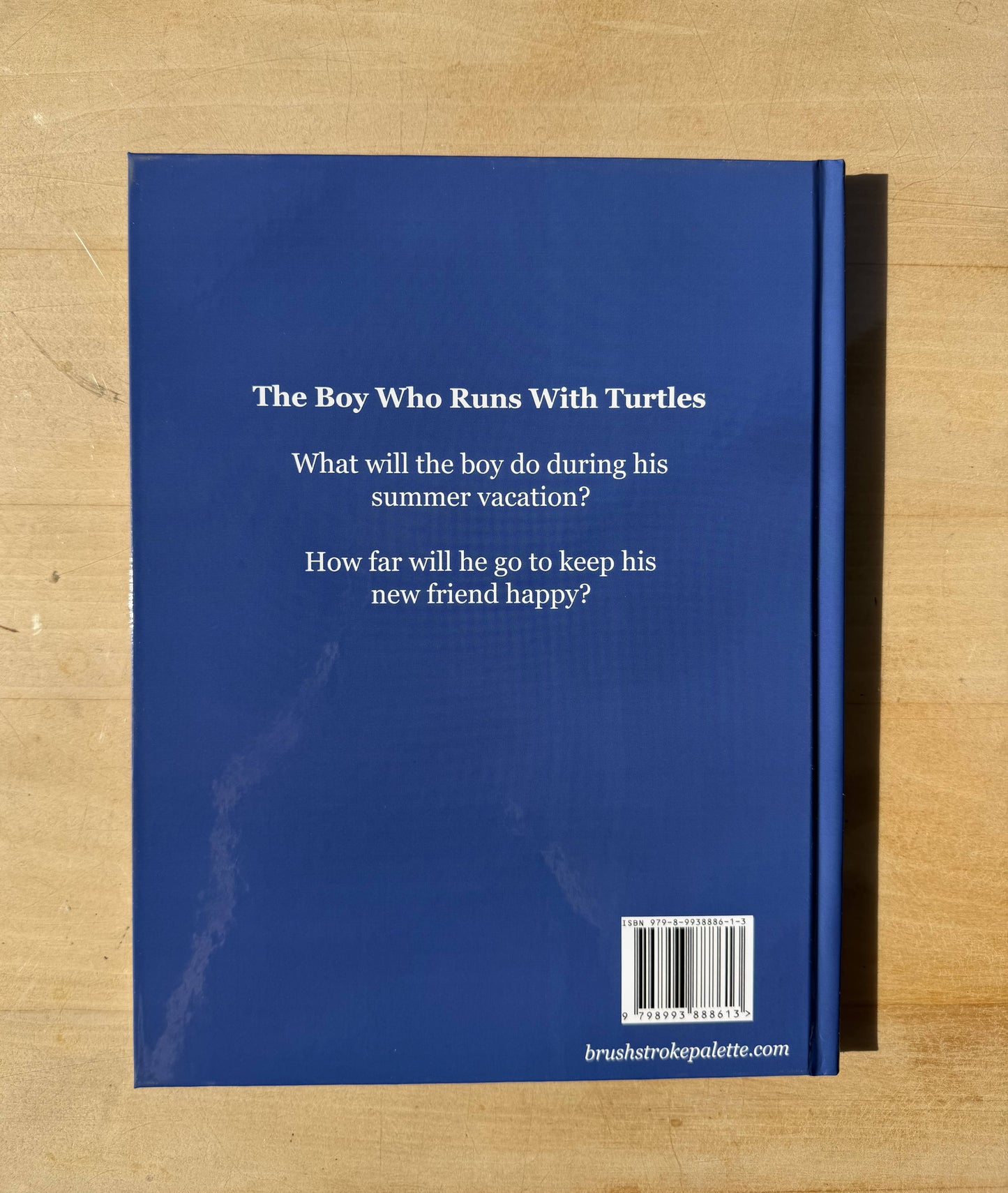 The Boy Who Runs With Turtles